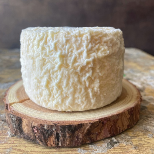 [СыроварКрым] Козьи сыры (2025)_0.jpg